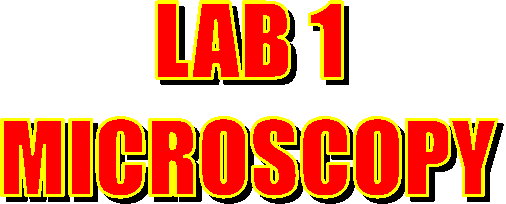 LAB 1
MICROSCOPY